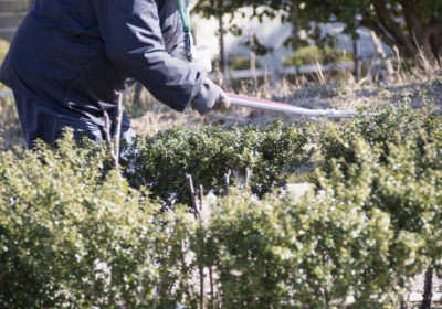 植木の剪定・草刈り